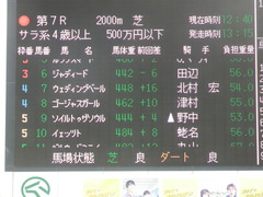 20190106 中山7R 4歳上(500) ウェディングベール 01