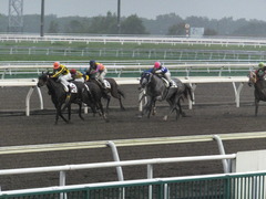 20160906 門別競馬場 18