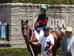 20170604 東京4R 3歳未勝利 ホウオウドリーム 15