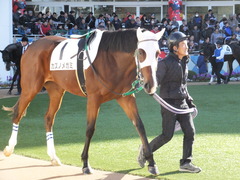 20151226 中山2R 2歳未勝利 カズノメガミ 06