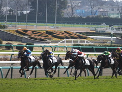 20140316 中山6R ショウナンラグーン 17