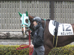 20160130 東京3R 3歳未勝利 カズノメガミ 13