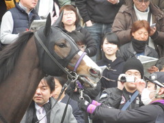 20190323 中山9R ミモザ賞 3歳牝馬(500) トロハ 10