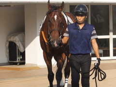 20170909 中山12R 3歳上500万下 メガポリゴン 09