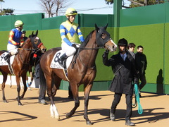 20150112 中山5R 3歳未勝利 ロジダーリング 14