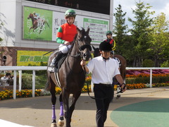 20170903 札幌11R 丹頂S(OP) マイネルサージュ 18