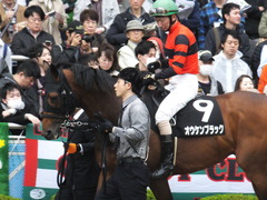20160417 中山9R 鹿野山特別 1000万下 オウケンブラック 09