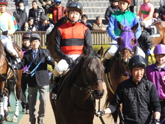 20150214 東京8R 春嶺JS メジロサンノウ 13