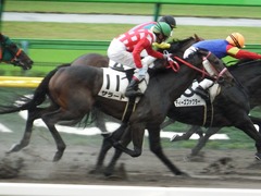 20171021 東京1R 2歳未勝利 サラート 12