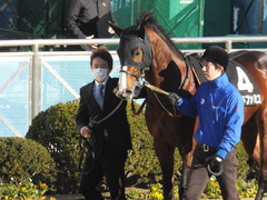 20141227 中山10R リヤンドファミユ 04
