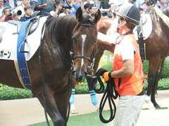 20180923 中山2R 2歳未勝利 マイネルハイボーン 09