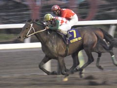 20161229 大井10R 東京大賞典(G1) サンドプラチナ 22
