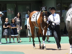 20140517 東京4R レッドリベリオン 03