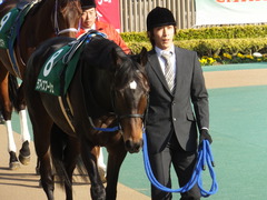 20150221 東京11R ダイヤモンドS(G3) ラブイズブーシェ 03
