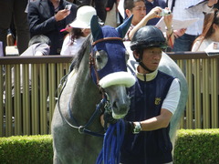 20180506 東京3R 3歳未勝利 ウェディングベール 11