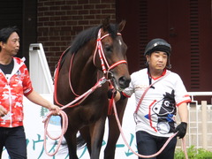 20170624 函館10R 湯川特別(500) ホウオウドリーム 19