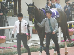 20180401 阪神11R 大阪杯(G1) トリオンフ 03