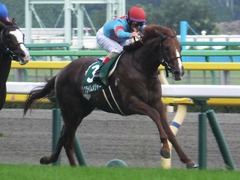 20161008 東京11R サウジアラビアRC(G3) クライムメジャー 20