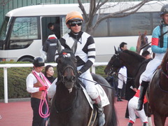 20181208 阪神12R (500) マッスルマサムネ 20