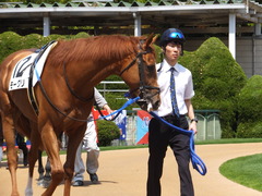 20150425 京都3R 3歳未勝利 モーグリ 04