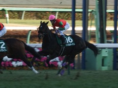 20190105 中山11R 中山金杯(G3) マイネルサージュ 17