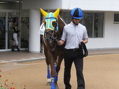 20161001 中山4R 3歳上障害未勝利 ワイルドジーク 05
