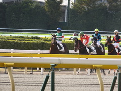 20141116 東京1R ラッシュアタック 15