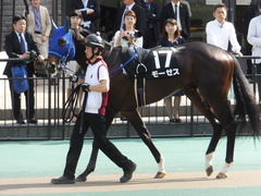20160507 東京11R プリンシパルS モーゼス 09