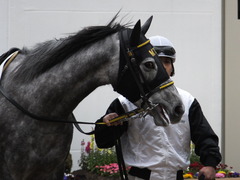 20150315 中山5R 3歳未勝利 グローリアスレイ 05