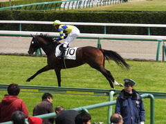 20150321 中山5R 3歳未勝利 ロジダーリング 12