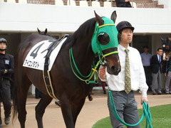 20180414 中山2R 3歳未勝利 アイコンタクト 08