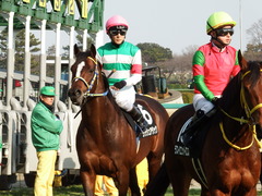 20180224 中山10R 富里特別(1000) ラッシュアタック 19