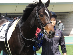 20150426 東京1R 3歳未勝利 ジュンコアー 04