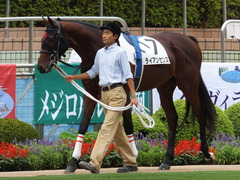 20130907ライアンセンス2