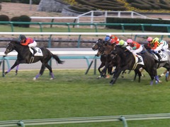 20160111 中山12R 4歳上500万下 マイネルサージュ 12