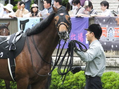 20140517東京9R オウケンブラック 10