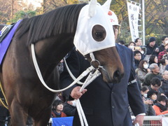 20161229 大井10R 東京大賞典(G1) サンドプラチナ 14