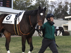 20170114 京都12R 4歳上1000万下 タンギモウジア 07