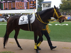 20150104 中山2R 3歳未勝利 ノーブルクリスタル 06