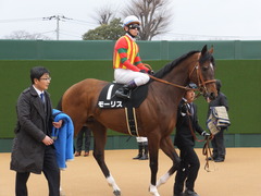 20150307 中山10R スピカS 4歳上1600万下 モーリス 12