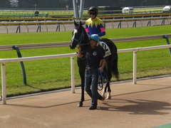 20141026 東京4R サウンドアラムシャ 12