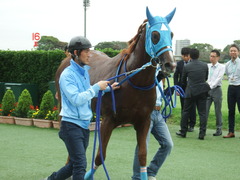 20180922 中山2R 2歳牝馬未勝利 ヴァルドワーズ 20