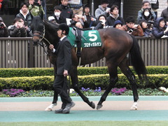 20170205 東京11R 東京新聞杯(G3) プロディガルサン 03