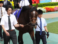 20160605 東京11R 安田記念(G1) モーリス 07