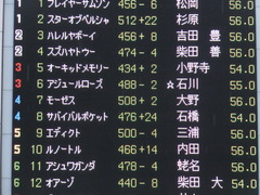 20160220 東京6R 3歳500万下 モーゼス 01