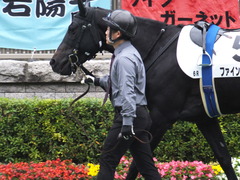 20151123 東京6R 3歳上500万下 ファインライナー 05