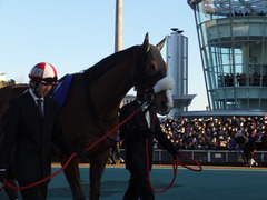 20151229 大井10R 東京大賞典 (G1) ユーロビート 04