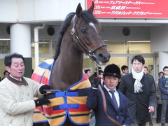 20170115 中山13R 最強の絶対王者 モーリス 引退式 03