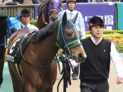 20161127 東京8R シャングリラ賞 ツクバアスナロ 08
