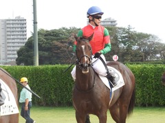 20180923 中山2R 2歳未勝利 マイネルハイボーン 13